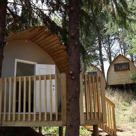 Hamilton Golf Lodge Kültér fotó