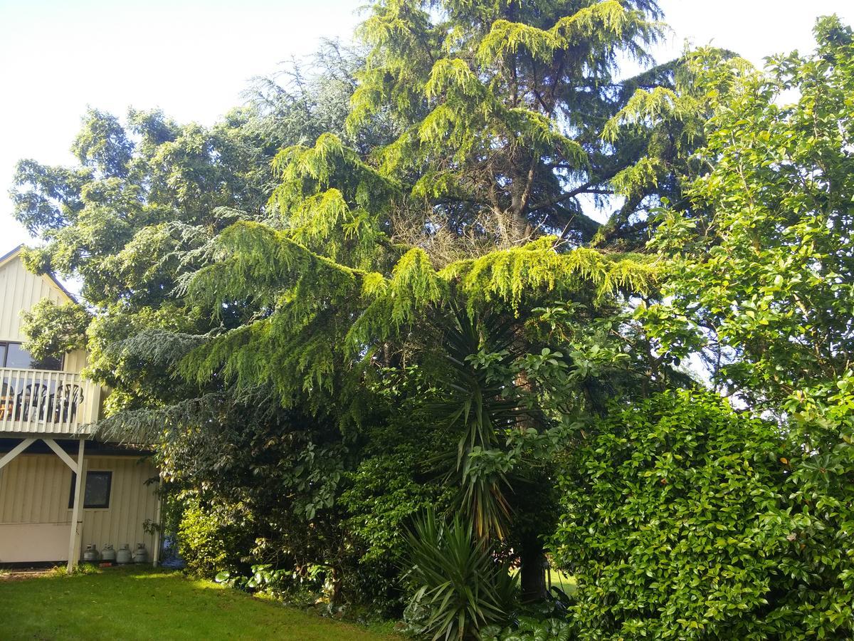 Hamilton Golf Lodge Kültér fotó