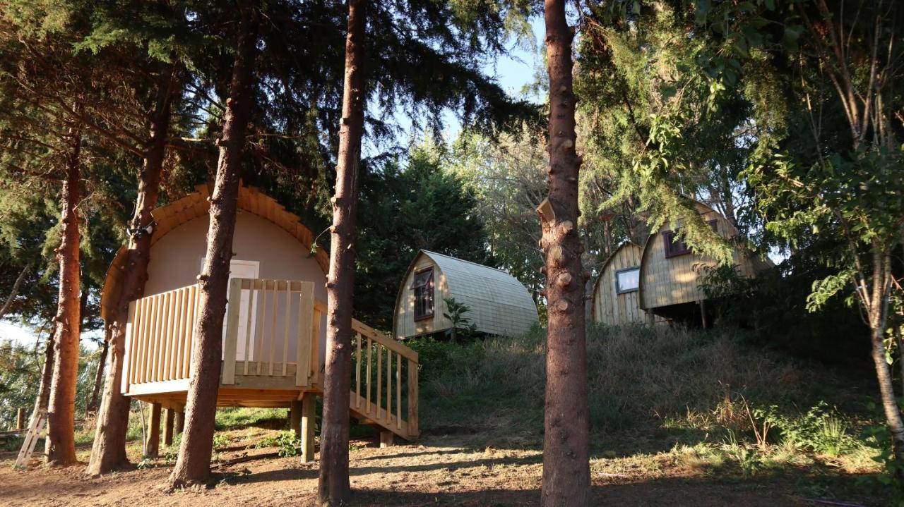 Hamilton Golf Lodge Kültér fotó